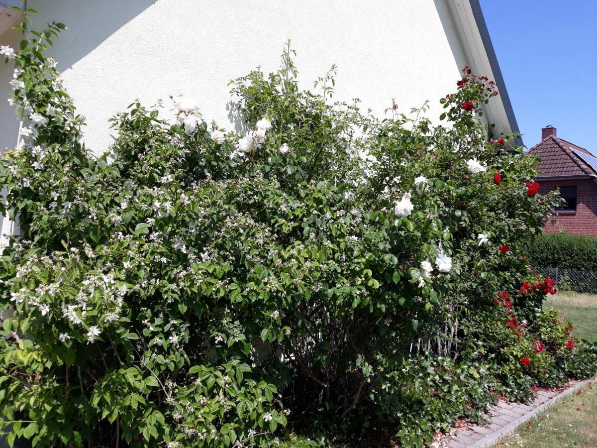 Ferienwohnung Ott Amelinghausen Exteriör bild