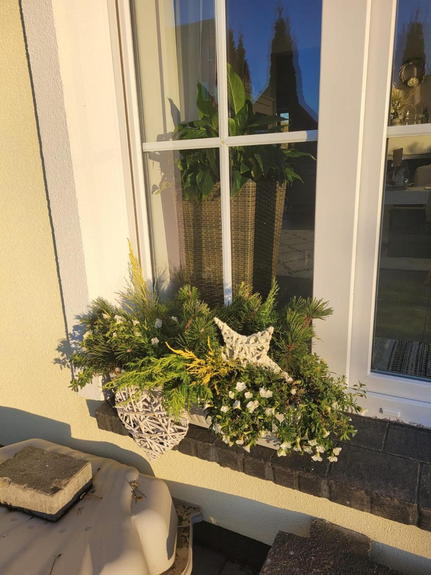 Ferienwohnung Ott Amelinghausen Exteriör bild