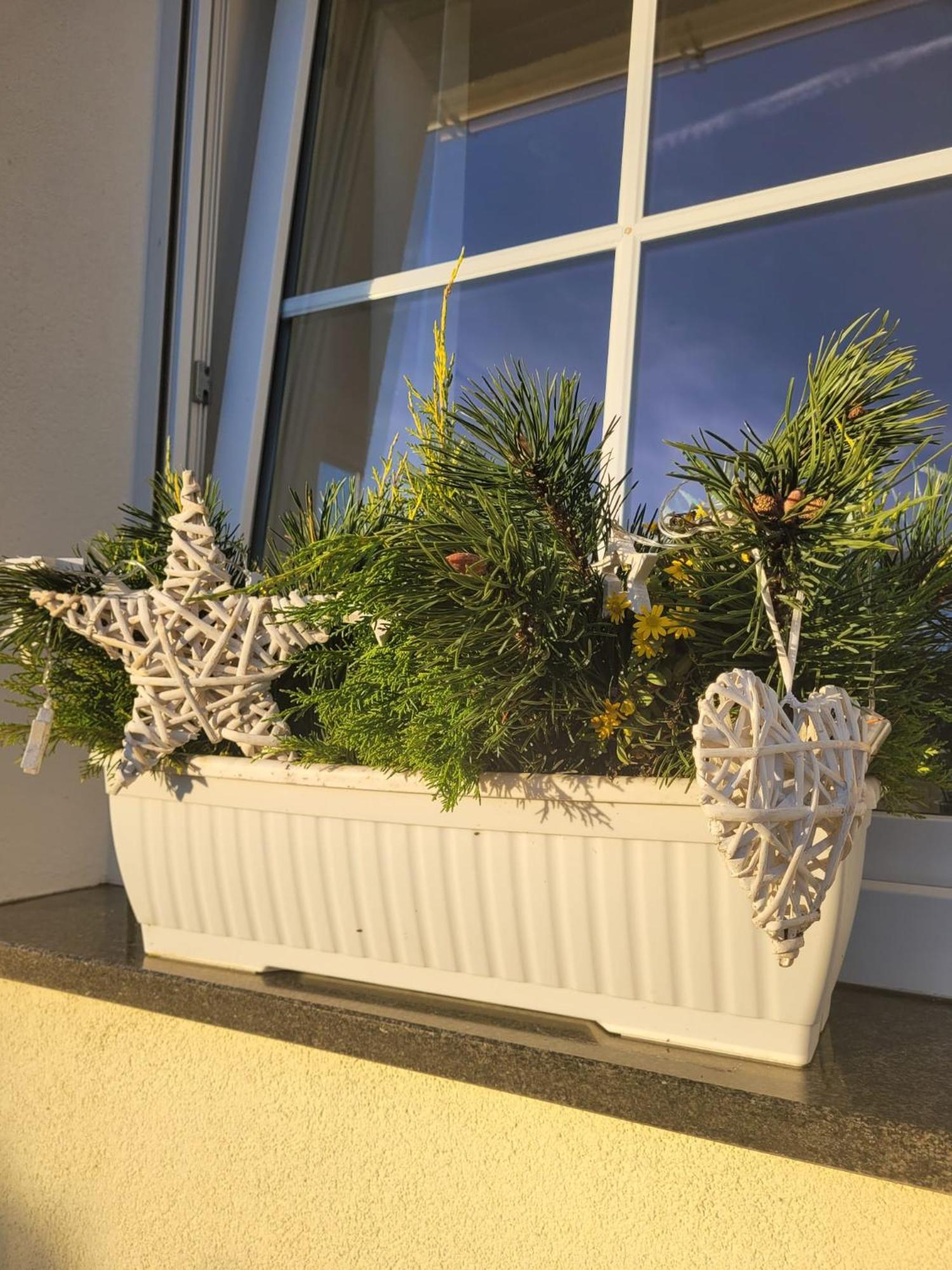 Ferienwohnung Ott Amelinghausen Exteriör bild